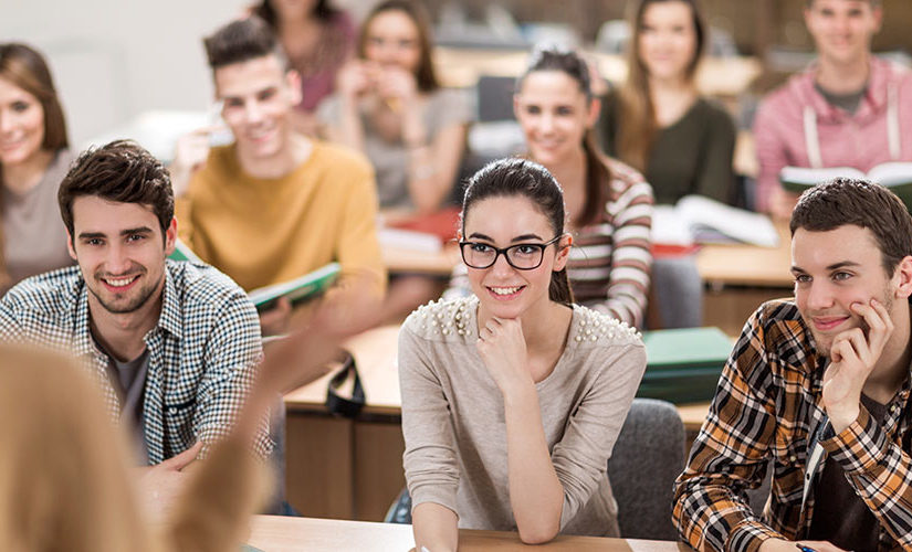 Digital Marketing Briefing: Viyalosla 2017