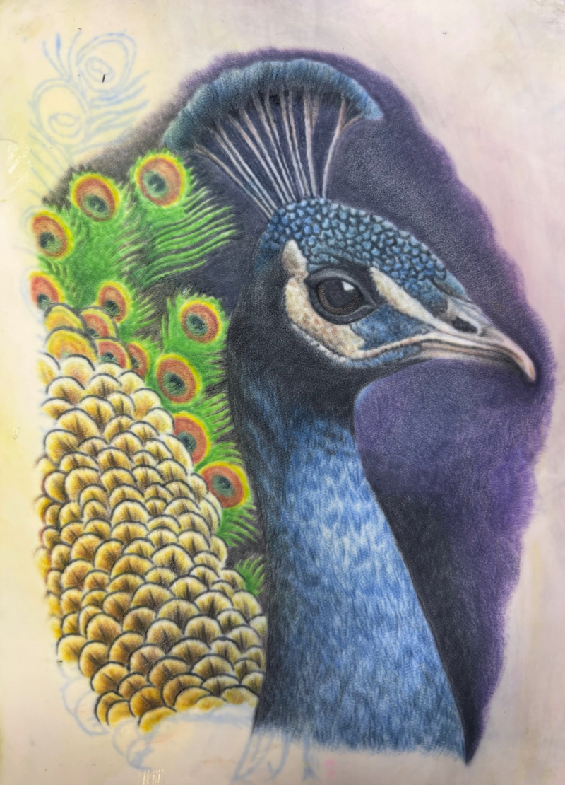 Student artwork
